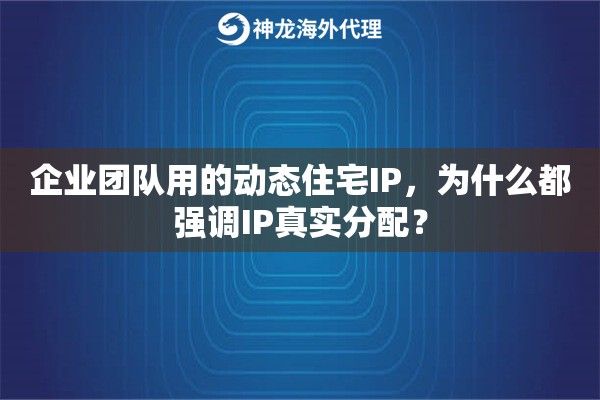企业团队用的动态住宅IP，为什么都强调IP真实分配？