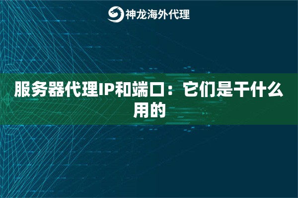服务器代理IP和端口：它们是干什么用的
