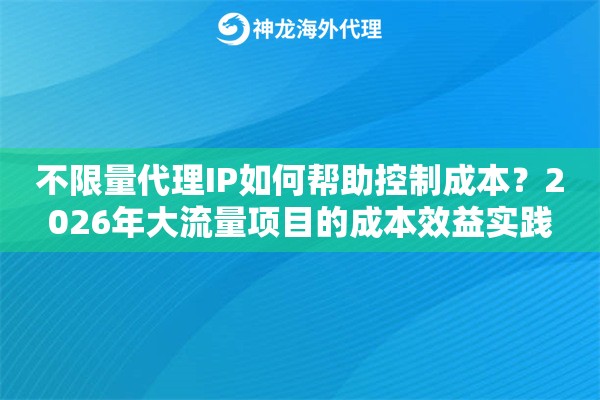 不限量代理IP如何帮助控制成本?2026年大流量项目的成本效益实践 不限量代理IP如何帮助控制成本?2026年大流量项目的成本效益实践