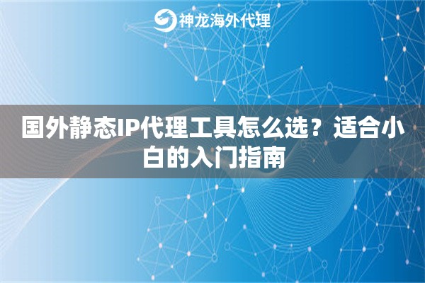 国外静态IP代理工具怎么选？适合小白的入门指南