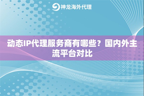 动态IP代理服务商有哪些？国内外主流平台对比