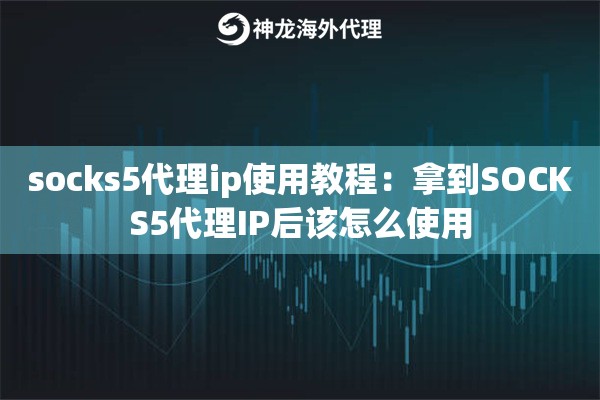 socks5代理ip使用教程：拿到SOCKS5代理IP后该怎么使用