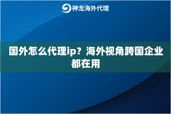 国外怎么代理ip？海外视角跨国企业都在用