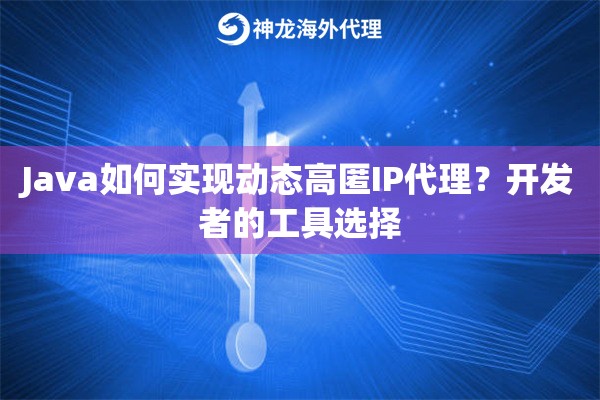 Java如何实现动态高匿IP代理？开发者的工具选择