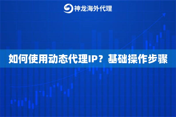 如何使用动态代理IP？基础操作步骤