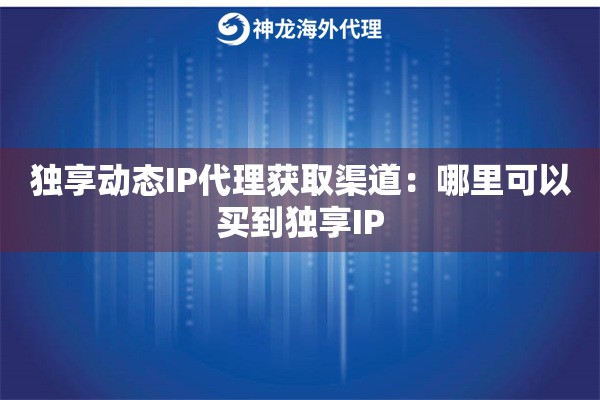 独享动态IP代理获取渠道：哪里可以买到独享IP