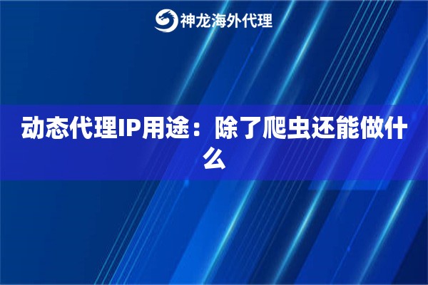 动态代理IP用途:除了爬虫还能做什么 动态代理IP用途:除了爬虫还能做什么