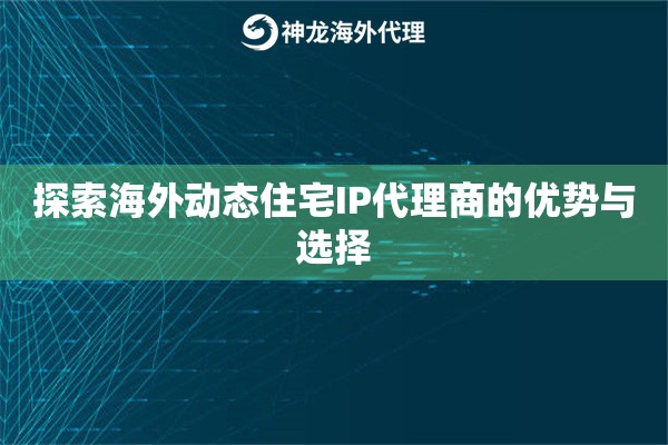 探索国内动态住宅IP代理商的优势与选择