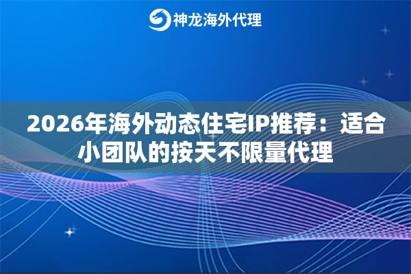 2026年海外动态住宅IP推荐：适合小团队的按天不限量代理