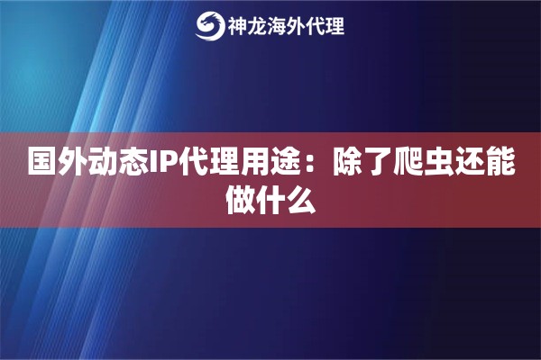 国外动态IP代理用途：除了爬虫还能做什么