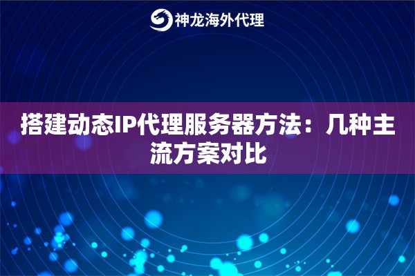 搭建动态IP代理服务器方法：几种主流方案对比