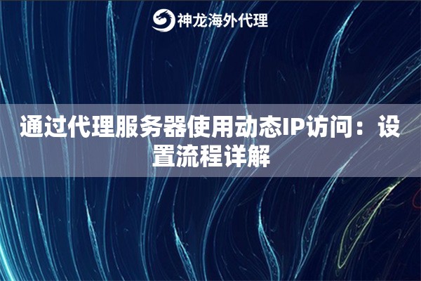 通过代理服务器使用动态IP访问：设置流程详解