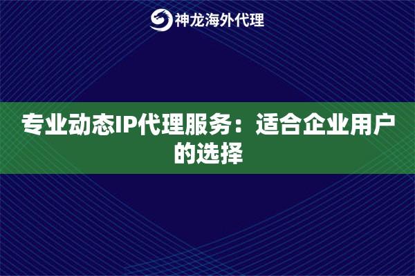 专业动态IP代理服务：适合企业用户的选择