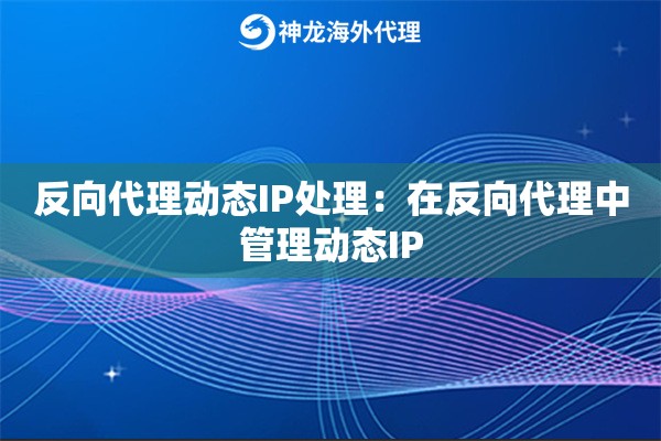 反向代理动态IP处理：在反向代理中管理动态IP