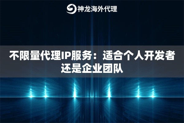 不限量代理IP服务：适合个人开发者还是企业团队