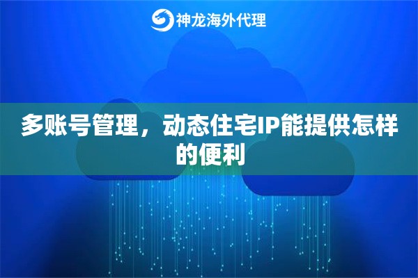 多账号管理，动态住宅IP能提供怎样的便利