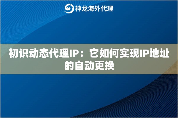 初识动态代理IP：它如何实现IP地址的自动更换