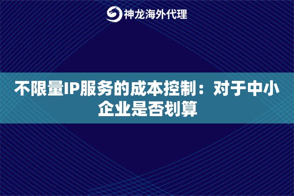 不限量IP服务的成本控制：对于中小企业是否划算