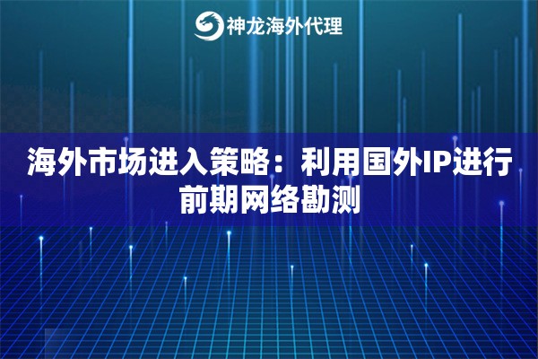 海外市场进入策略：利用国外IP进行前期网络勘测