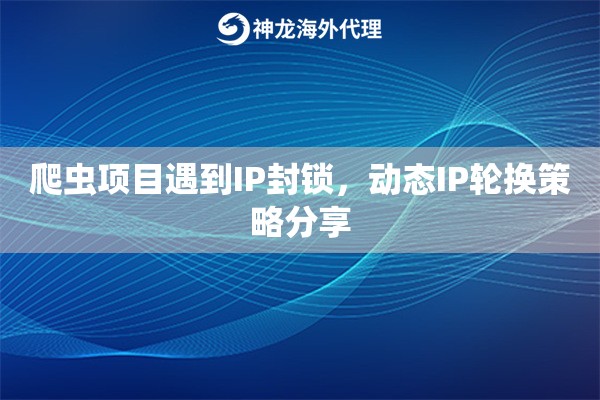 爬虫项目遇到IP封锁，动态IP轮换策略分享