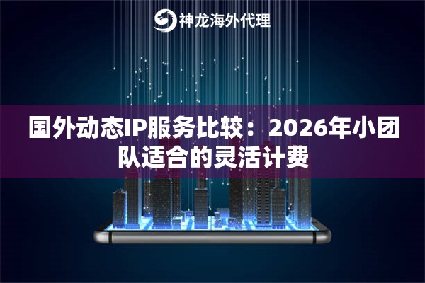 国外动态IP服务比较：2026年小团队适合的灵活计费