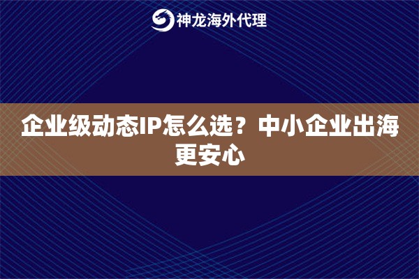 企业级动态IP怎么选？中小企业出海更安心