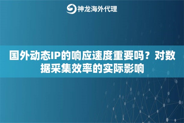 国外动态IP的响应速度重要吗？对数据采集效率的实际影响
