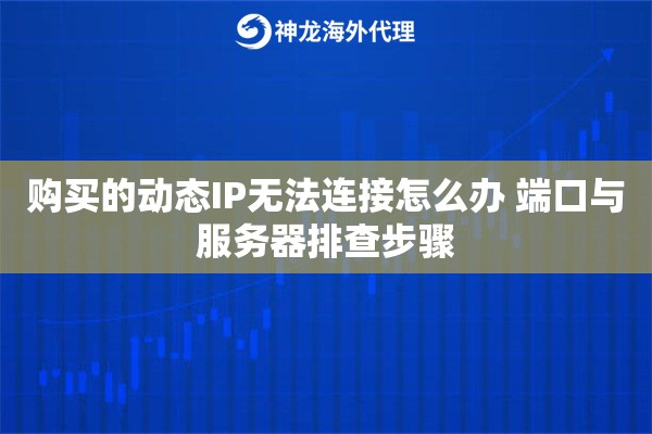 购买的动态IP无法连接怎么办 端口与服务器排查步骤 购买的动态IP无法连接怎么办 端口与服务器排查步骤