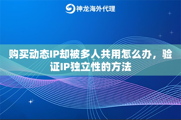 购买动态IP却被多人共用怎么办，验证IP独立性的方法