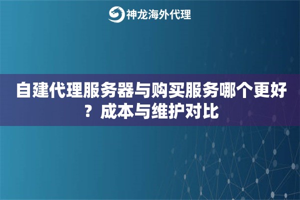 自建代理服务器与购买服务哪个更好？成本与维护对比