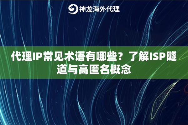 代理IP常见术语有哪些？了解ISP隧道与高匿名概念