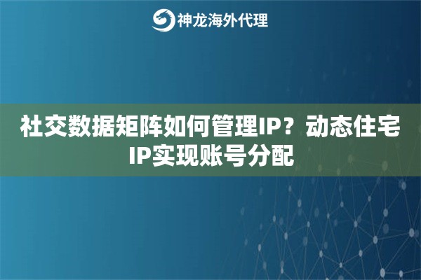 社交数据矩阵如何管理IP？动态住宅IP实现账号分配