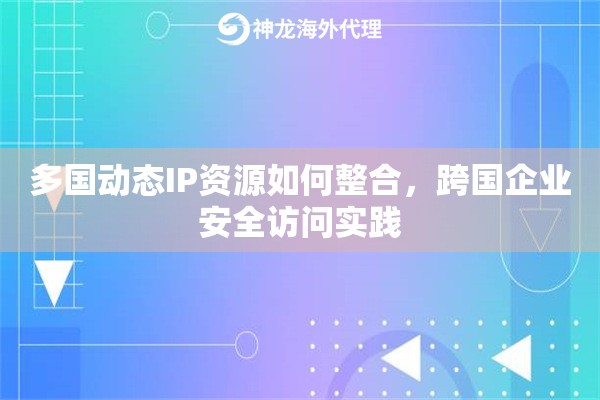 多国动态IP资源如何整合，跨国企业安全访问实践