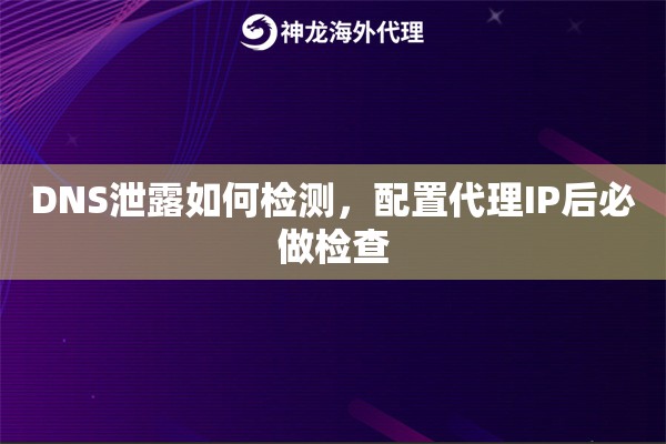 DNS泄露如何检测，配置代理IP后必做检查
