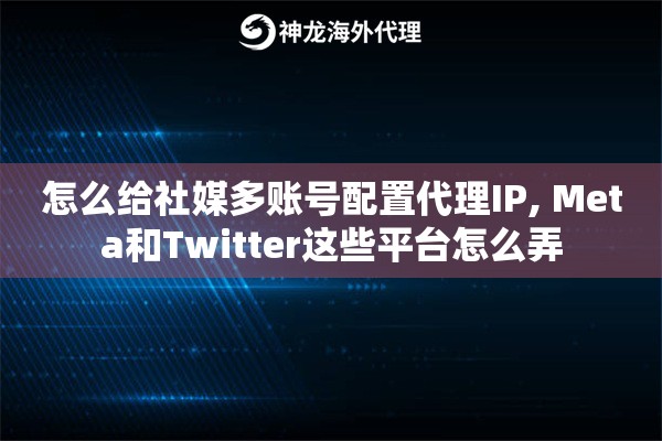 怎么给社媒多账号配置代理IP, Meta和Twitter这些平台怎么弄