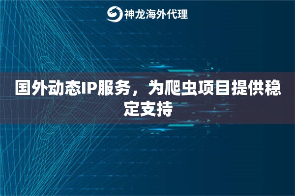 国外动态IP服务，为爬虫项目提供稳定支持