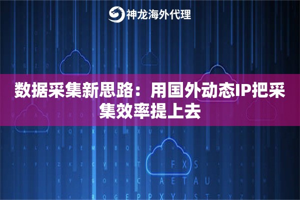 数据采集新思路：用国外动态IP把采集效率提上去