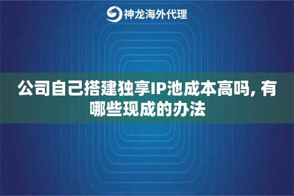 公司自己搭建独享IP池成本高吗, 有哪些现成的办法