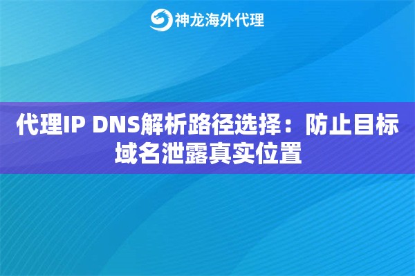 代理IP DNS解析路径选择：防止目标域名泄露真实位置