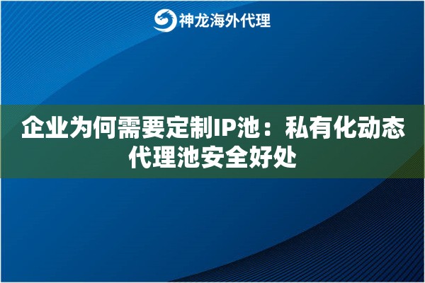 企业为何需要定制IP池：私有化动态代理池安全好处