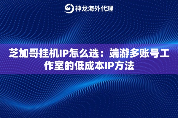 芝加哥挂机IP怎么选：端游多账号工作室的低成本IP方法