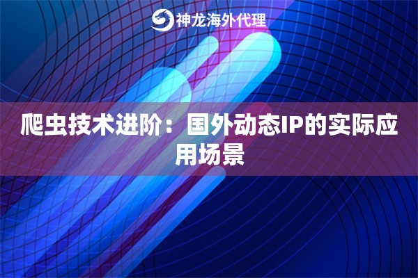 爬虫技术进阶：国外动态IP的实际应用场景