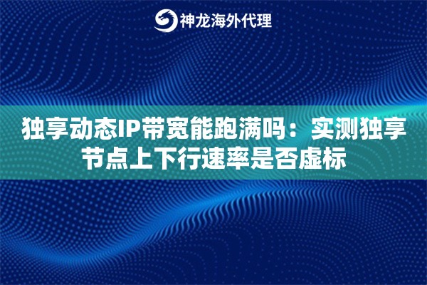 独享动态IP带宽能跑满吗：实测独享节点上下行速率是否虚标