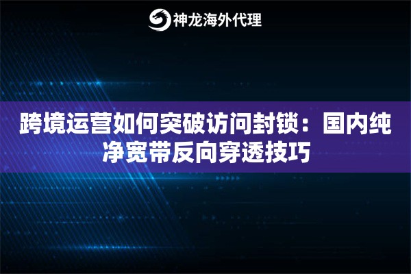 跨境运营如何突破访问封锁：国内纯净宽带反向穿透技巧