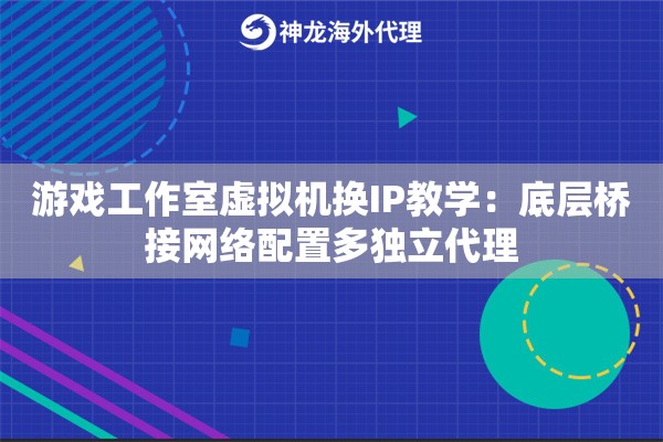 游戏工作室虚拟机换IP教学：底层桥接网络配置多独立代理