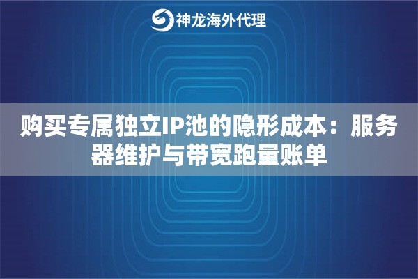 购买专属独立IP池的隐形成本：服务器维护与带宽跑量账单