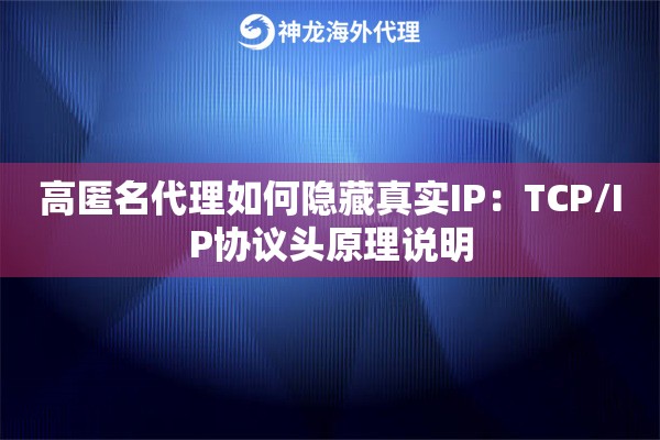 高匿名代理如何隐藏真实IP：TCP/IP协议头原理说明