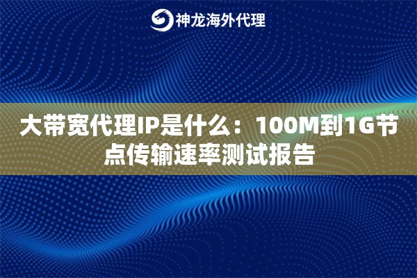 大带宽代理IP是什么：100M到1G节点传输速率测试报告