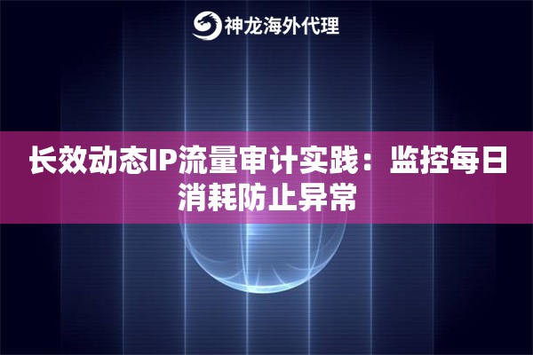 长效动态IP流量审计实践：监控每日消耗防止异常