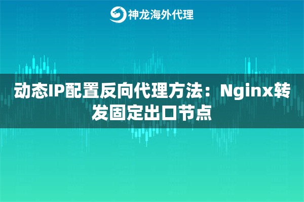 动态IP配置反向代理方法：Nginx转发固定出口节点